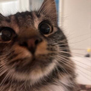 Meet your Posher, Tori